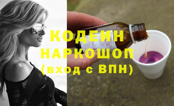 шишки Бородино
