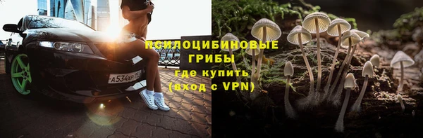 винт Бронницы
