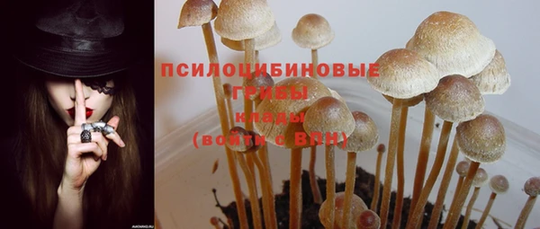 шишки Бородино
