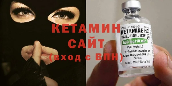 шишки Бородино