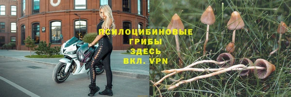 кокаин Богданович