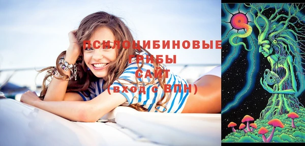 шишки Бородино