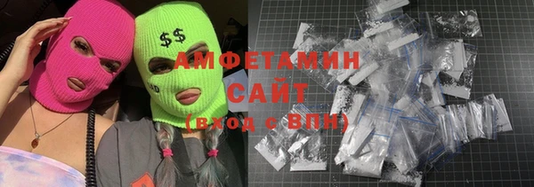 шишки Бородино