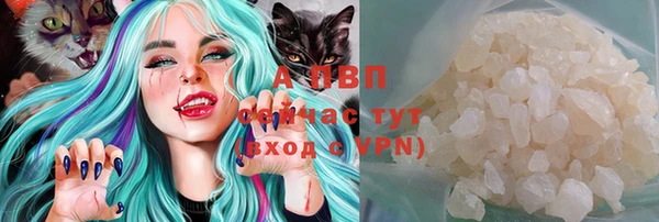 шишки Бородино